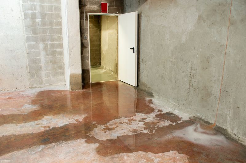 Basement Leak Repair in Sarasota, FL
