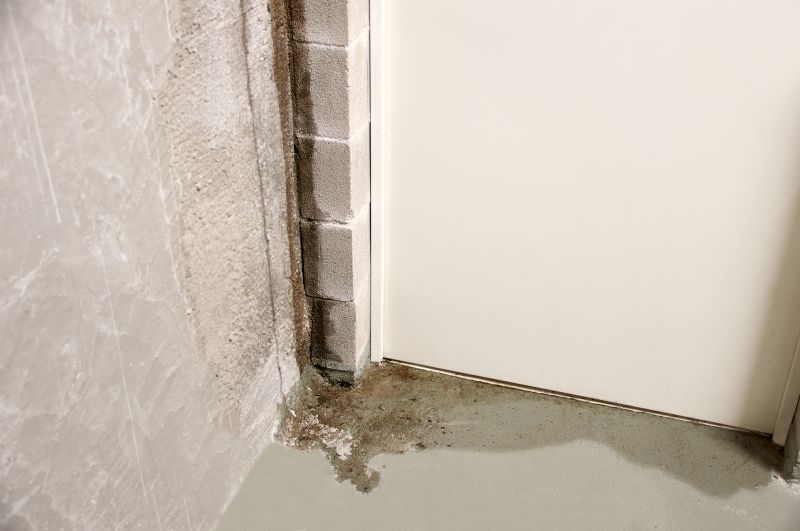 Basement Leak Repair in Tuscaloosa, AL