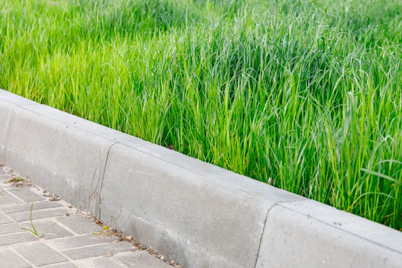 Curb Repair in West Des Moines, IA